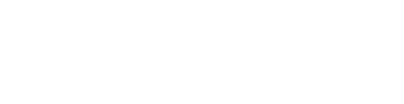 NetSuite